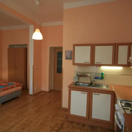 No. 22 Zeyerova 15 Apartment *
